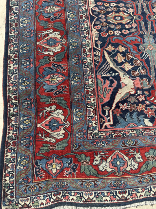 Garrus design Bidjar Carpet Size: 300x390 cm
Please contact directly. Halilaydinrugs@gmail.com                       