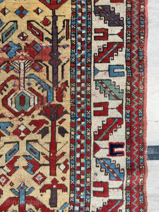 Middle of the 19th century Kuba shirvan. size 105 x 150 cm. Please send me directly mail.
halilaydinrugs@gmail.com                