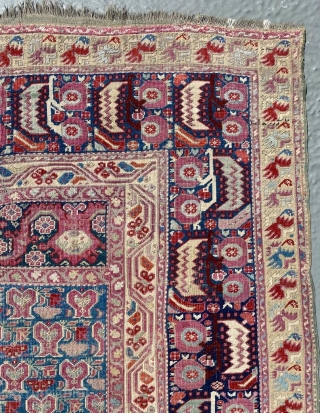 Ghiordes Prayer Rug Circa 1840 Size: 146x217 cm                         