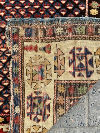 Shirvan Kuba Rug Circa 1880 Size: 102x135 cm                         