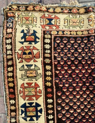 Shirvan Kuba Rug Circa 1880 Size: 102x135 cm                         