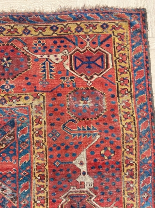 Beshir Main Carpet Circa 1860 Size: 210x340 cm                         
