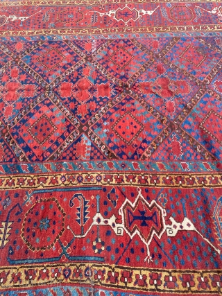 Beshir Main Carpet Circa 1860 Size: 210x340 cm                         