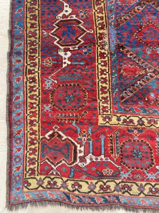 Beshir Main Carpet Circa 1860 Size: 210x340 cm                         