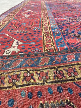 Beshir Main Carpet Circa 1860 Size: 210x340 cm                         