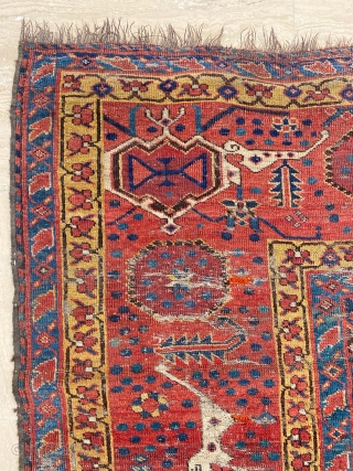 Beshir Main Carpet Circa 1860 Size: 210x340 cm                         