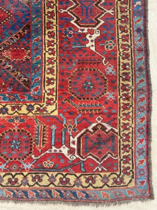 Beshir Main Carpet Circa 1860 Size: 210x340 cm                         