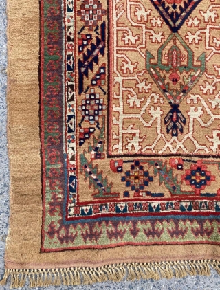 Sarab Camel Runner Circa 1870 Size: 97x278 cm                         
