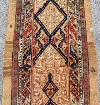 Sarab Camel Runner Circa 1870 Size: 97x278 cm                         