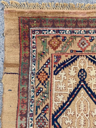 Sarab Camel Runner Circa 1870 Size: 97x278 cm                         
