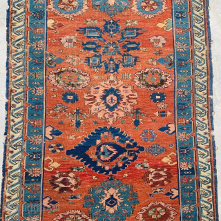 Seychour Sumak Circa 1870 Size: 100x285 cm.
Please contact directly. Halilaydinrugs@gmail.com                       