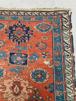 Seychour Sumak Circa 1870 Size: 100x285 cm.
Please contact directly. Halilaydinrugs@gmail.com                       