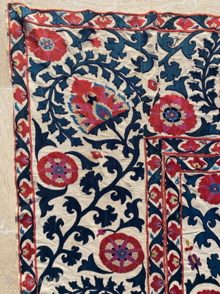 Shahrisabz Suzani Fragment Circa 1800 Size : 120x173 cm Please contact directly. Halilaydinrugs@gmail.com                    
