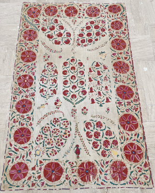 19th Century Bukhara Suzani Size: 150x245 cm
Please contact directly. Halilaydinrugs@gmail.com                       