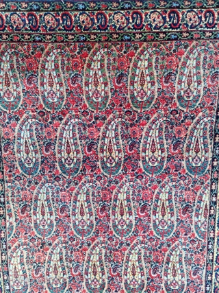 Bothe design Senneh around 80-90 years old.

E-mail to halilkokogluu@gmail.com . 

Also, you can simply find my further contact information and my other rugs on my profile page: https://www.rugrabbit.com/profile/400 . 

Best Regards  