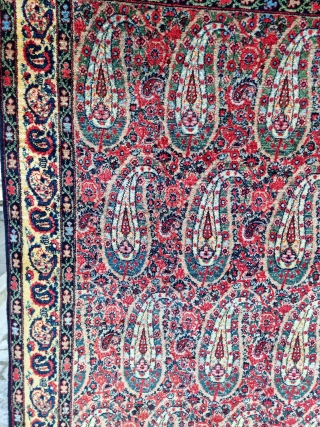 Bothe design Senneh around 80-90 years old.

E-mail to halilkokogluu@gmail.com . 

Also, you can simply find my further contact information and my other rugs on my profile page: https://www.rugrabbit.com/profile/400 . 

Best Regards  