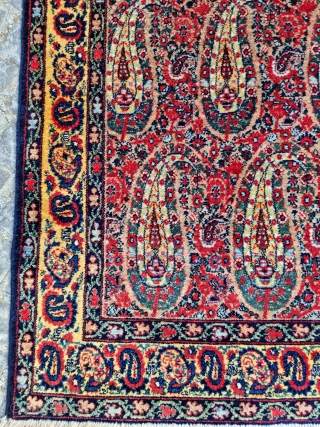 Bothe design Senneh around 80-90 years old.

E-mail to halilkokogluu@gmail.com . 

Also, you can simply find my further contact information and my other rugs on my profile page: https://www.rugrabbit.com/profile/400 . 

Best Regards  