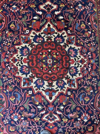 Persian Bakhtiari rug circa 1930 it is in Malayer quality. In superb condition, full condition, wonderful size.
Size: 308 x 205 cm

E-mail to halilkokogluu@gmail.com . 

Also, you can simply find my further contact  ...