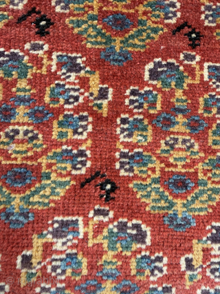 Iran Malayer Rug, around 120-130 years old. All vegetable colors and perfect condition.                    