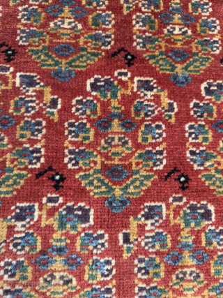 Iran Malayer Rug, around 120-130 years old. All vegetable colors and perfect condition.                    