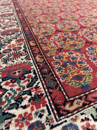 Iran Malayer Rug, around 120-130 years old. All vegetable colors and perfect condition.                    
