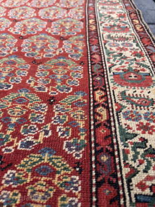 Iran Malayer Rug, around 120-130 years old. All vegetable colors and perfect condition.                    