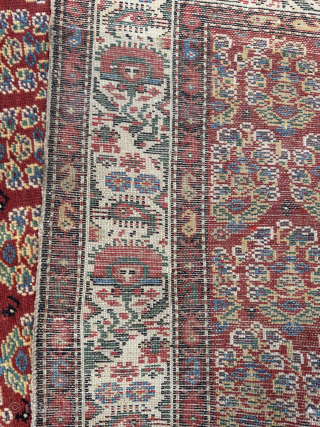 Iran Malayer Rug, around 120-130 years old. All vegetable colors and perfect condition.                    