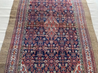 Persian Sarab Carpet Circa 1880 Size: 215x355 cm                         