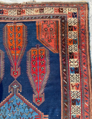 Caucasian Shikli Rug Circa 1870 Size: 130x225 cm                         