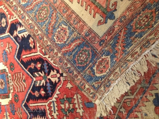 Antique Serapi rug,Size : 320 x 284 cm

                         