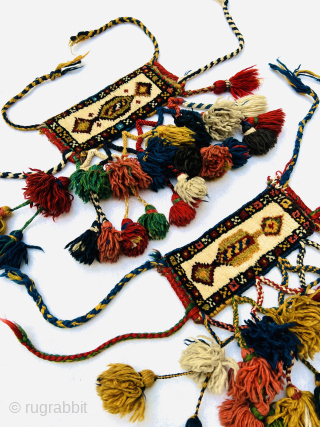 Rare Antique Qashqai Knee Bands | Circa 1880

This exceptional pair of antique Qashqai knee bands, dating back to around 1880, is a rare find. The bands retain their original braided cords and  ...