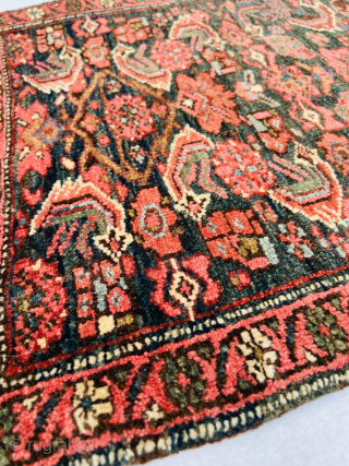 Bijar small Rug circa 1880 wool on wool all good colors and perfect condition size 53x51Cm Please Contact this email for more information. 
hamidparsacarpet@yahoo.com         