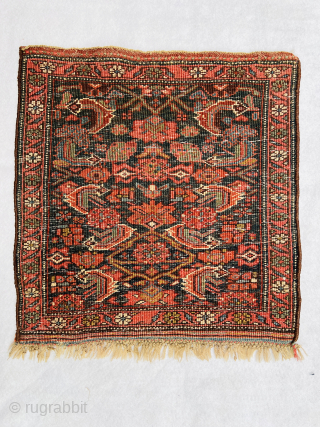 Bijar small Rug circa 1880 wool on wool all good colors and perfect condition size 53x51Cm Please Contact this email for more information. 
hamidparsacarpet@yahoo.com         
