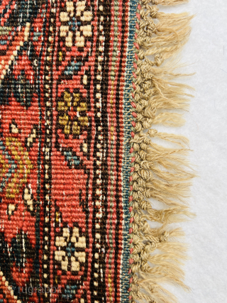 Bijar small Rug circa 1880 wool on wool all good colors and perfect condition size 53x51Cm Please Contact this email for more information. 
hamidparsacarpet@yahoo.com         