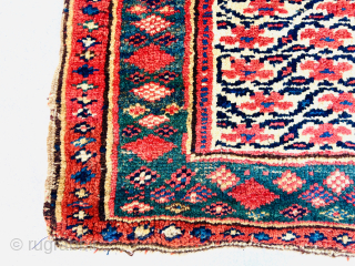Persian Kurdish bagface 1880 circa all good colors-size 60x45cm Please Contact this email for more information.
hamidparsacarpet@yahoo.com                 