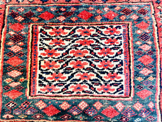 Persian Kurdish bagface 1880 circa all good colors-size 60x45cm Please Contact this email for more information.
hamidparsacarpet@yahoo.com                 