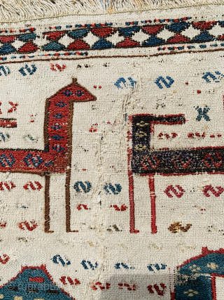 Caucasian Verneh 1870 circa,animal caravan horse,cotton foundation with some damage(Clear in the pictures) all drawings made with soumac technique,size150x61cm              