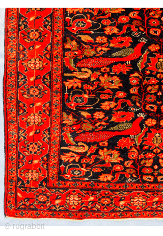 Bird Garden Farahan Antique Rug, circa 1900 This exquisite rug in very good condation ,woven in Farahan at the dawn of the 20th century, is inspired by an imagined garden and vividly  ...
