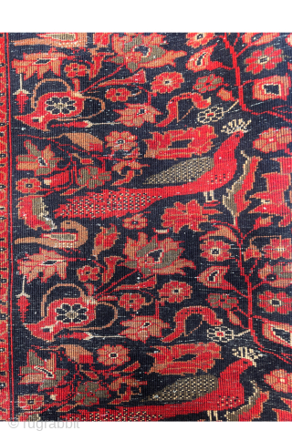 Bird Garden Farahan Antique Rug, circa 1900 This exquisite rug in very good condation ,woven in Farahan at the dawn of the 20th century, is inspired by an imagined garden and vividly  ...