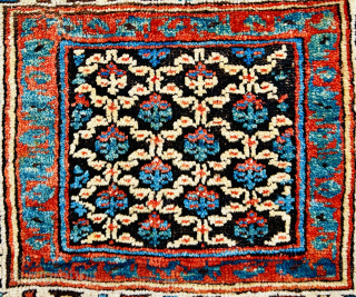 Very unusual Varamin bag circa 1870s with Salor Turkmen Aksu design in the medallion,wool on wool and in very good condition Size 60x52cm          