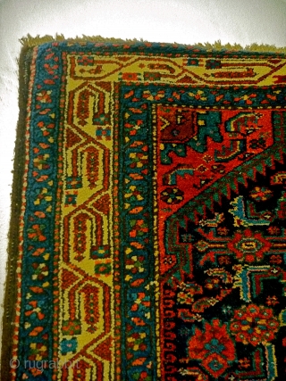 Hamadan, early 20th c., even pile(center a little lower), natural dyes(colors not accurate,  though,  due to camera), two 3" creases just outside the field - the knots are showing slightly.  ...