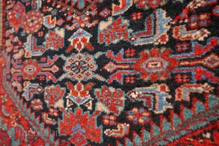 Hamadan, early 20th c., even pile(center a little lower), natural dyes(colors not accurate,  though,  due to camera), two 3" creases just outside the field - the knots are showing slightly.  ...