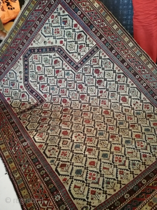 antique shirvan marasali prayer size 146x116cm circa 1900                         