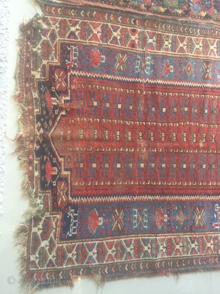 Antique tribal kurdish rug circa 1900, size 170x94cm.                         
