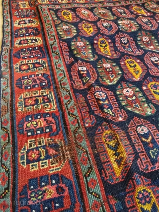 Late 20th century kurdish sauj bulagh carpet, size 300x164cm.                        