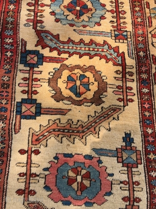 Antique Persian Bakshaish, mostly even low pile with higher pile in areas, size is a large 12,7 x 16,10 . Has a light yellow spot in border pictured and about a 5  ...