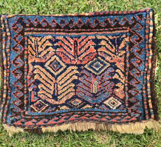 Uncommon Kurdish bag. Opened.
86x59 cm
hfsadovsky at live dot com