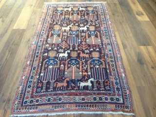 Persian ZABOL Boluch . 19th century,excellent and original  condition, purple background.
 size 3'8x6'11 ( 118x210 cm)                