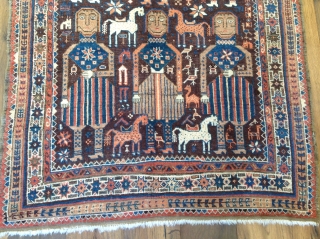 Persian ZABOL Boluch . 19th century,excellent and original  condition, purple background.
 size 3'8x6'11 ( 118x210 cm)                