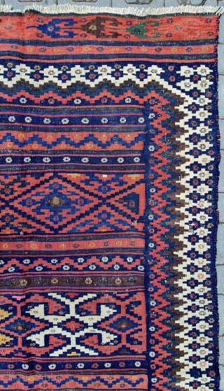 Size : 145x230 cm,
Old persian (afsar).                           